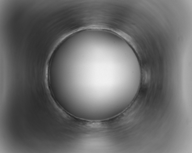 X0000089671006200707051545