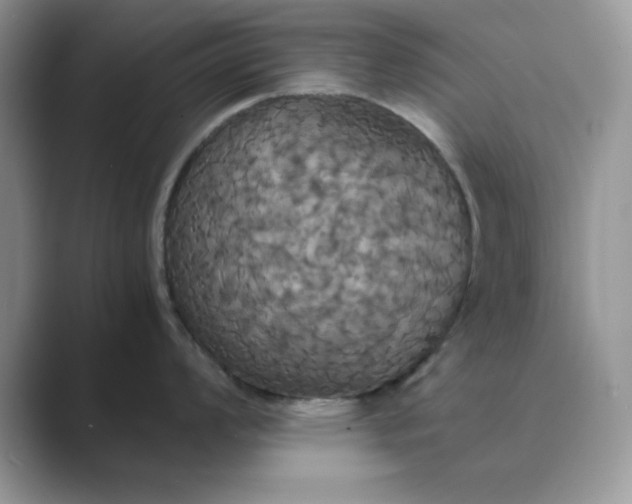 X0000089671008200707051545