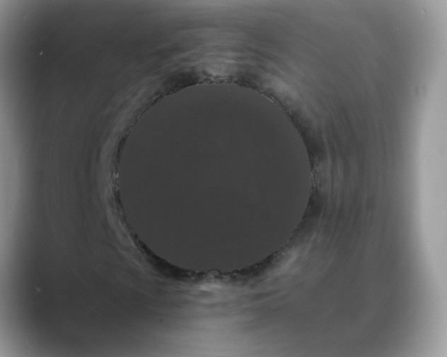 X0000089671009200707051544