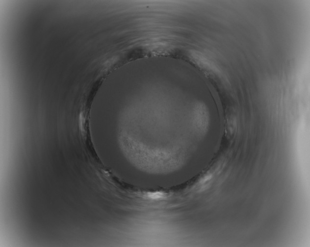 X0000089671010200707051544