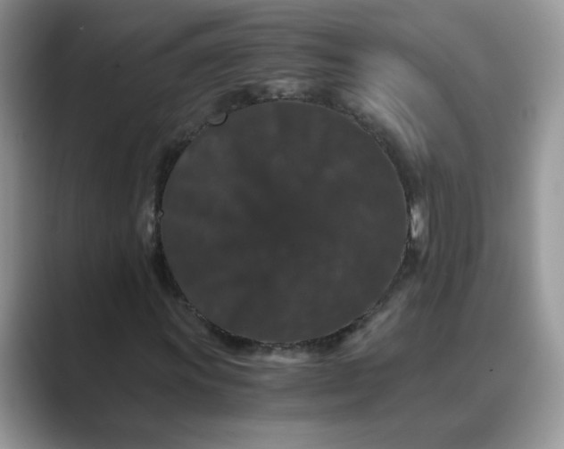 X0000089671011200707051544