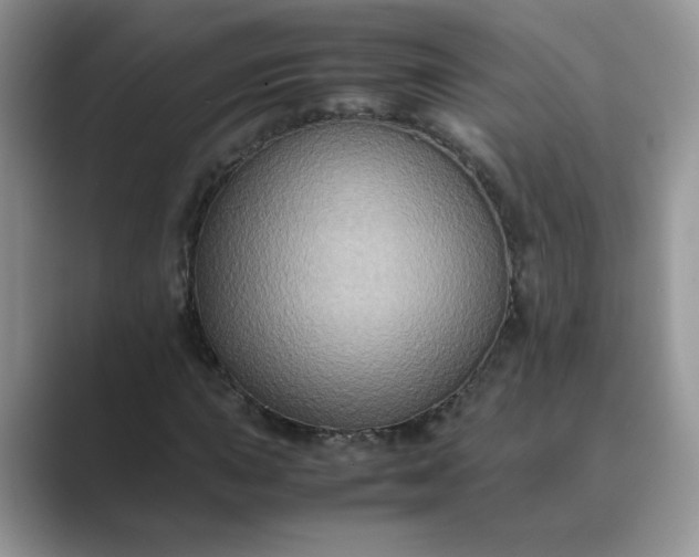 X0000089671015200707051544