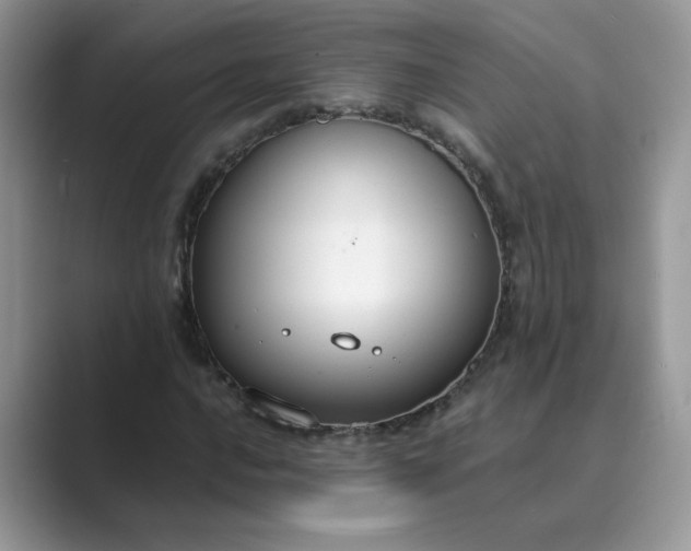 X0000089671016200707051544