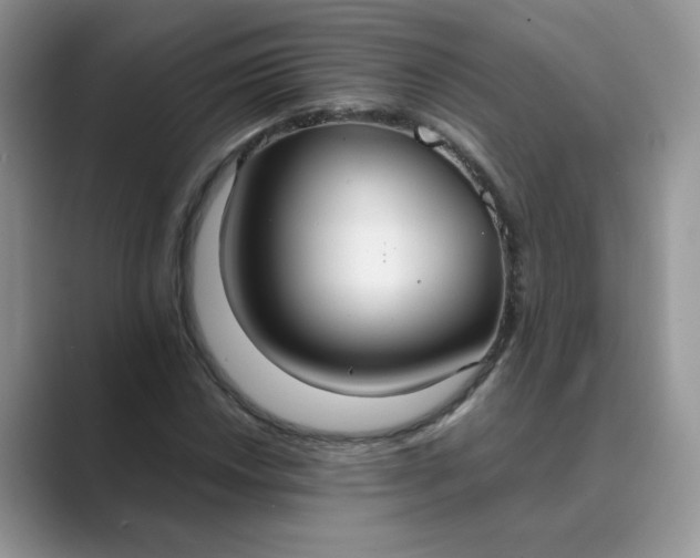 X0000089671018200707051544