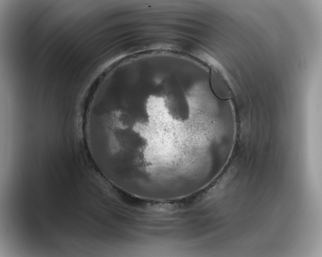 X0000089671019200707051544