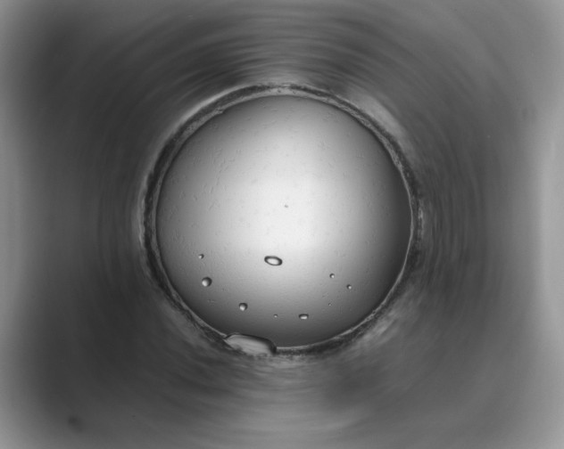 X0000089671020200707051544