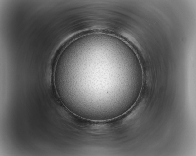 X0000089671021200707051544