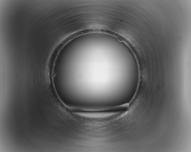X0000089671022200707051544