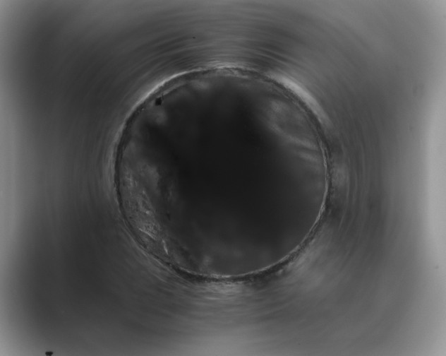 X0000089671023200707051544