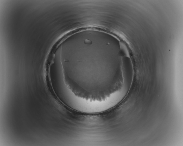 X0000089671024200707051544