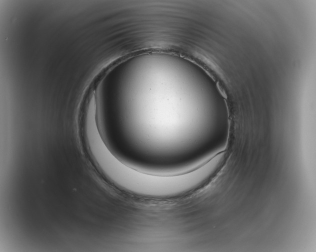 X0000089671026200707051544