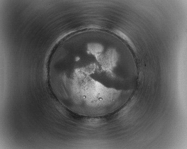 X0000089671027200707051544