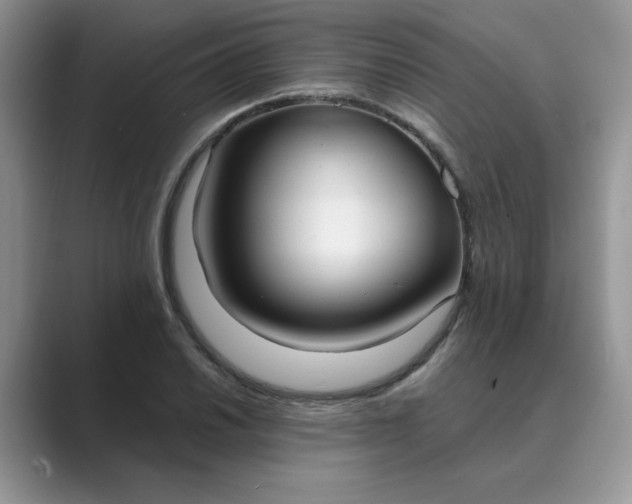 X0000089671030200707051544
