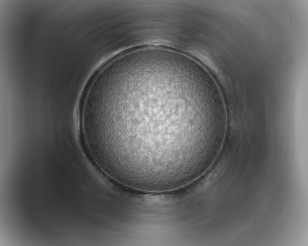 X0000089671032200707051544