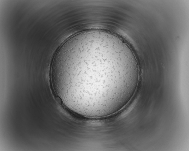 X0000089671033200707051544