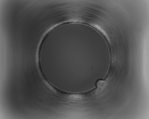 X0000089671037200707051544