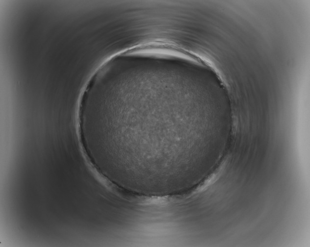 X0000089671038200707051544