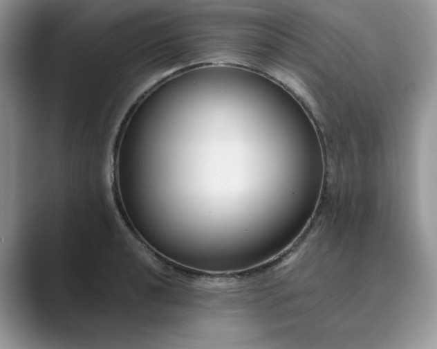 X0000089671040200707051544