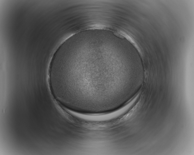 X0000089671042200707051544
