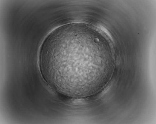 X0000089671043200707051544