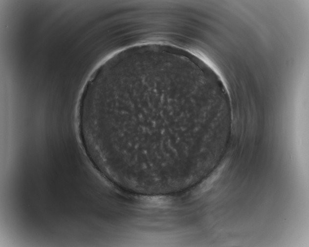 X0000089671045200707051545