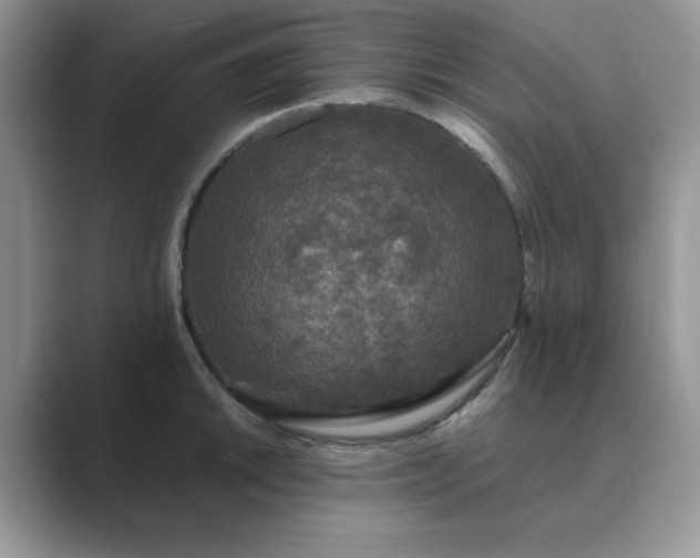 X0000089671046200707051545