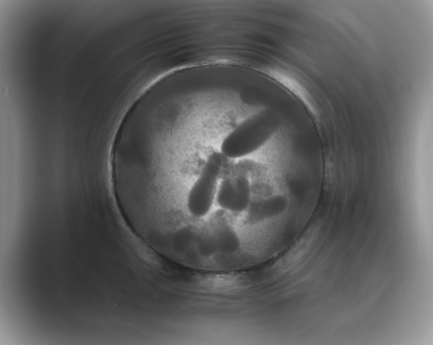 X0000089671047200707051545