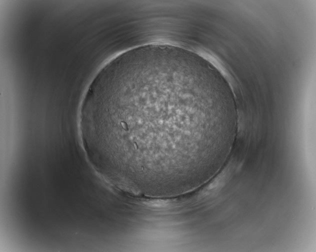 X0000089671048200707051545