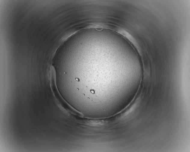 X0000089671049200707051545