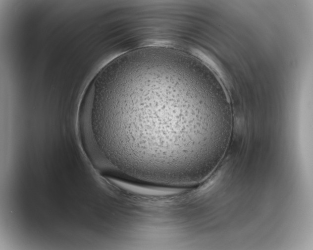 X0000089671050200707051545