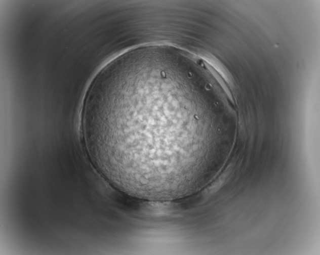 X0000089671052200707051545