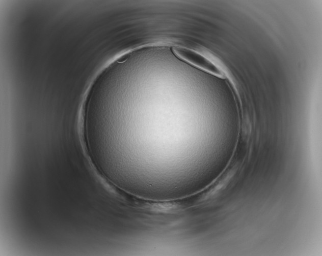 X0000089671053200707051545