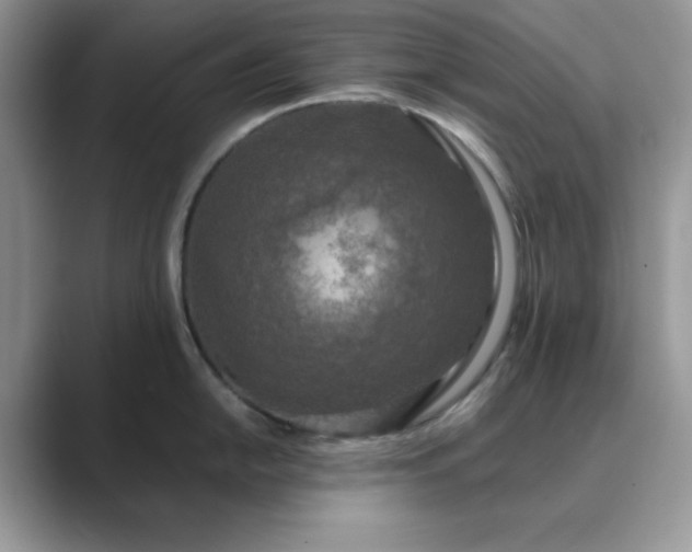X0000089671054200707051545