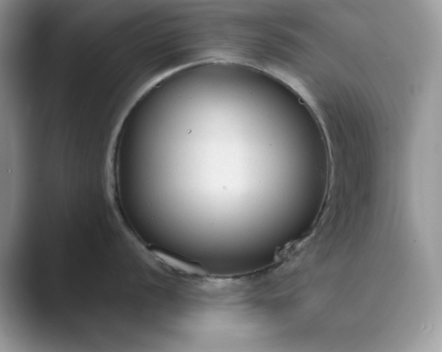 X0000089671056200707051545