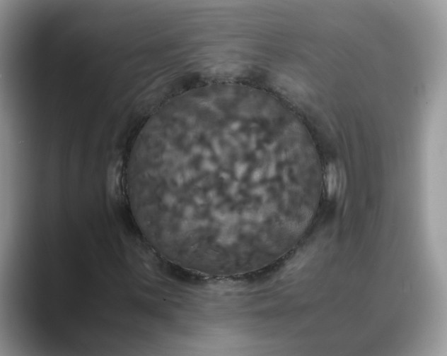 X0000089671059200707051544