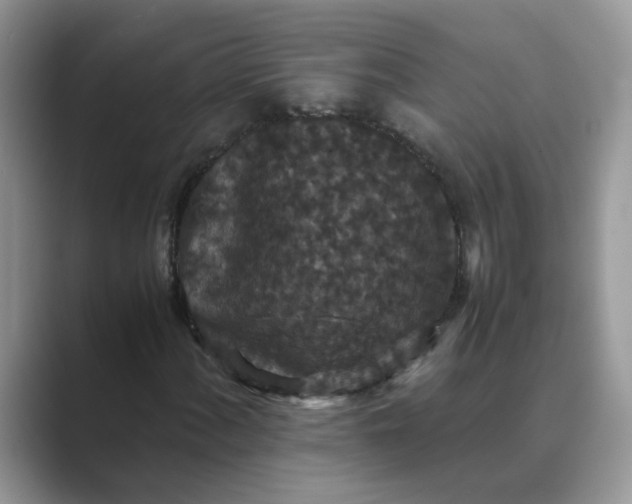 X0000089671060200707051544