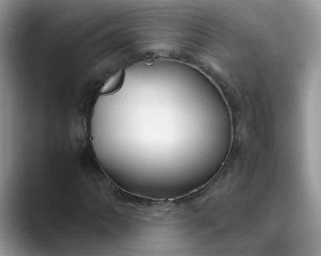 X0000089671062200707051544