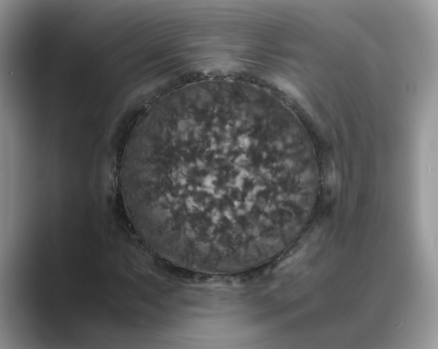 X0000089671063200707051544