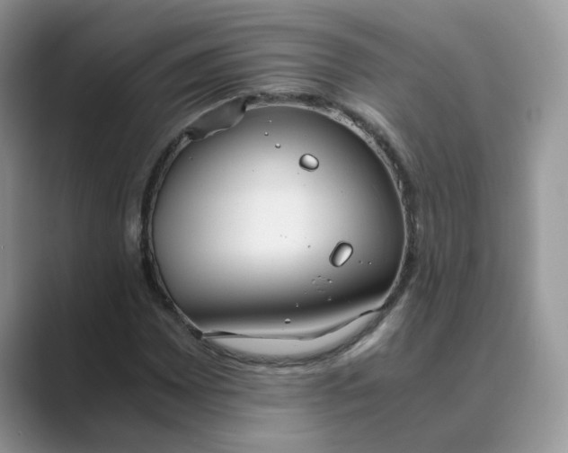 X0000089671065200707051544