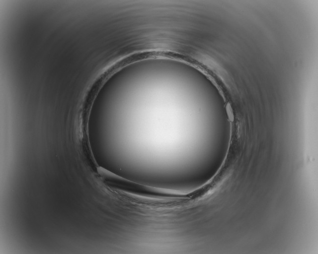 X0000089671069200707051544