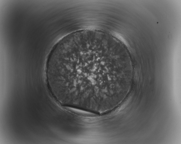 X0000089671071200707051544