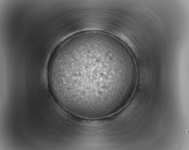 X0000089671072200707051544