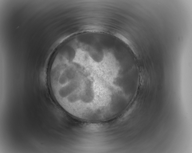 X0000089671074200707051544