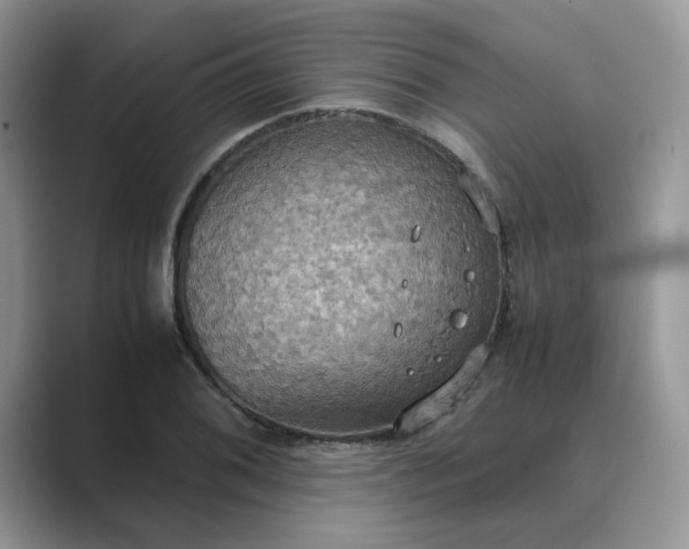 X0000089671076200707051544