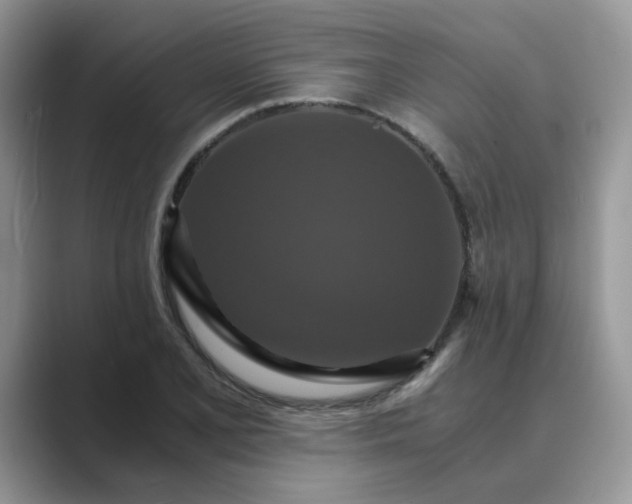 X0000089671077200707051544