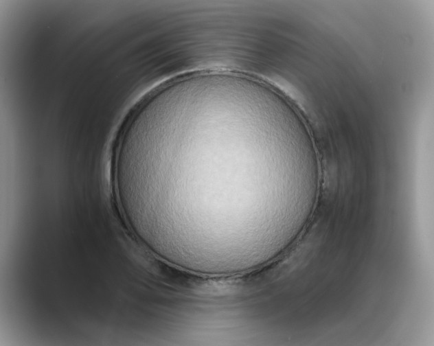 X0000089671078200707051544