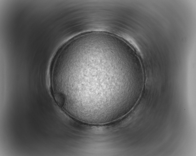 X0000089671080200707051544