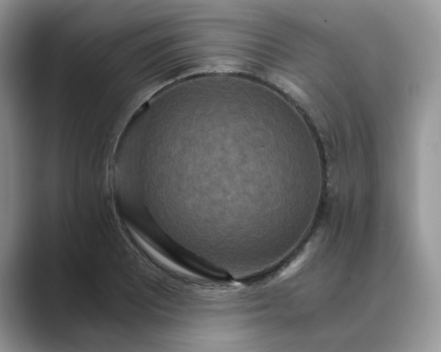 X0000089671081200707051544