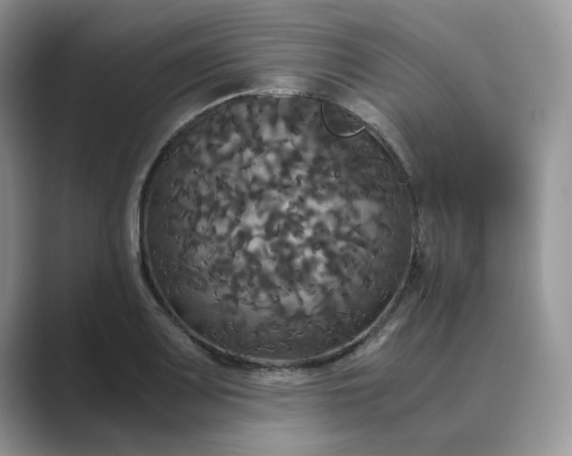 X0000089671083200707051544