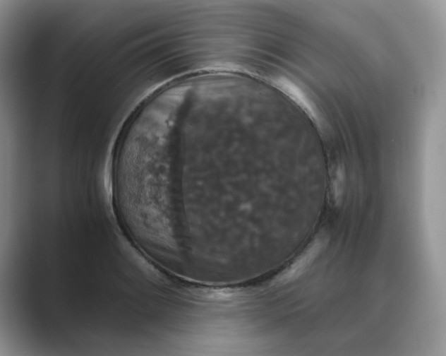 X0000089671084200707051544